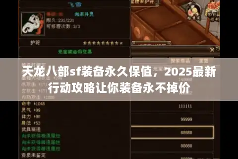 天龙八部sf装备永久保值，2025最新行动攻略让你装备永不掉价