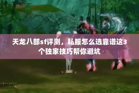 天龙八部sf评测，私服怎么选靠谱这3个独家技巧帮你避坑