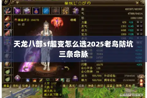 天龙八部sf超变怎么选2025老鸟防坑三条命脉