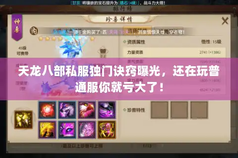 天龙八部私服独门诀窍曝光,还在玩普通服你就亏大了! 天龙八部私服独门诀窍曝光,还在玩普通服你就亏大了!