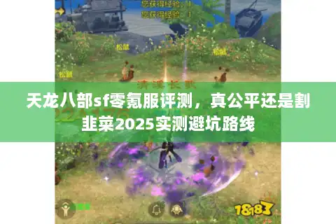天龙八部sf零氪服评测，真公平还是割韭菜2025实测避坑路线