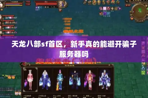 天龙八部sf首区，新手真的能避开骗子服务器吗