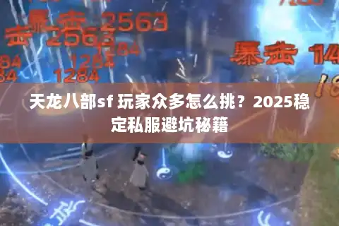 天龙八部sf 玩家众多怎么挑？2025稳定私服避坑秘籍