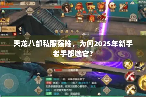 天龙八部私服强推，为何2025年新手老手都选它？