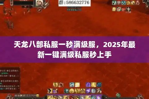 天龙八部私服一秒满级服，2025年最新一键满级私服秒上手