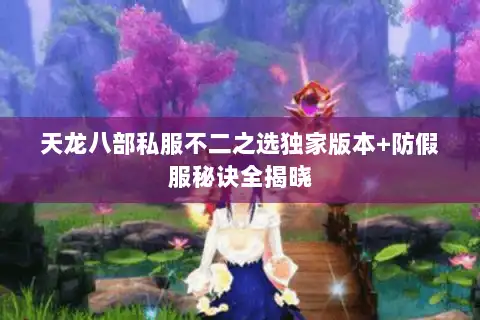 天龙八部私服不二之选独家版本+防假服秘诀全揭晓