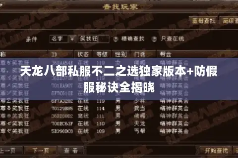 天龙八部私服不二之选独家版本+防假服秘诀全揭晓 天龙八部私服不二之选独家版本+防假服秘诀全揭晓
