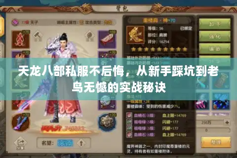 天龙八部私服不后悔,从新手踩坑到老鸟无憾的实战秘诀 天龙八部私服不后悔,从新手踩坑到老鸟无憾的实战秘诀
