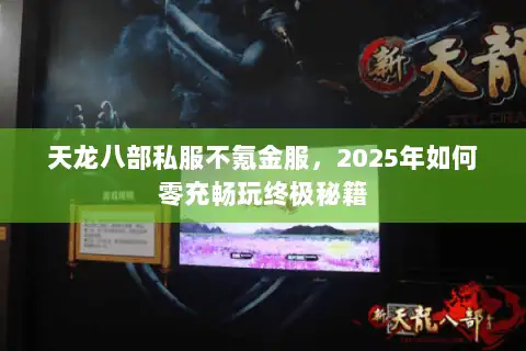 天龙八部私服不氪金服,2025年如何零充畅玩终极秘籍 天龙八部私服不氪金服,2025年如何零充畅玩终极秘籍