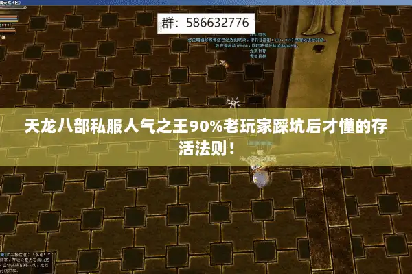 天龙八部私服人气之王90%老玩家踩坑后才懂的存活法则！