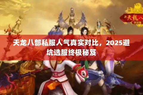 天龙八部私服人气真实对比，2025避坑选服终极秘笈