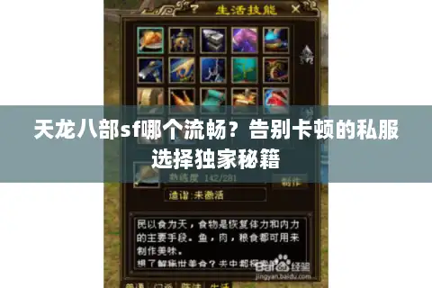 天龙八部sf哪个流畅？告别卡顿的私服选择独家秘籍