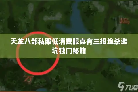 天龙八部私服低消费服真有三招绝杀避坑独门秘籍