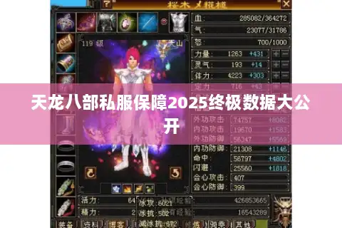 天龙八部私服保障2025终极数据大公开