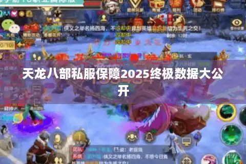 天龙八部私服保障2025终极数据大公开