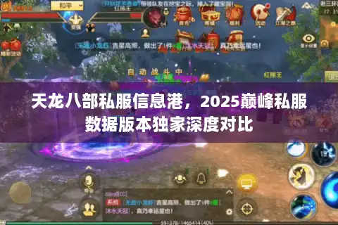 天龙八部私服信息港，2025巅峰私服数据版本独家深度对比