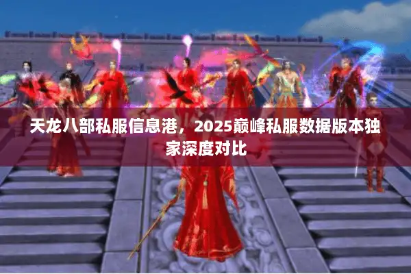 天龙八部私服信息港，2025巅峰私服数据版本独家深度对比