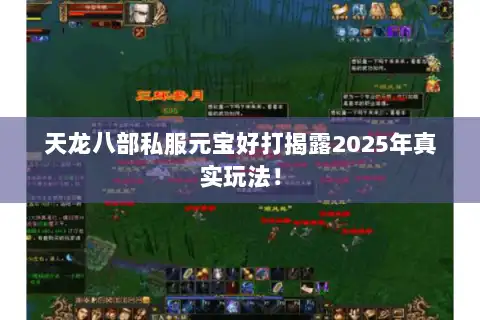 天龙八部私服元宝好打揭露2025年真实玩法！