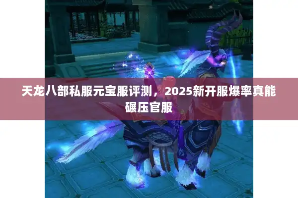 天龙八部私服元宝服评测，2025新开服爆率真能碾压官服
