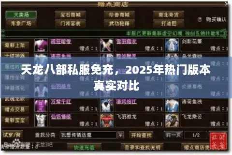 天龙八部私服免充，2025年热门版本真实对比