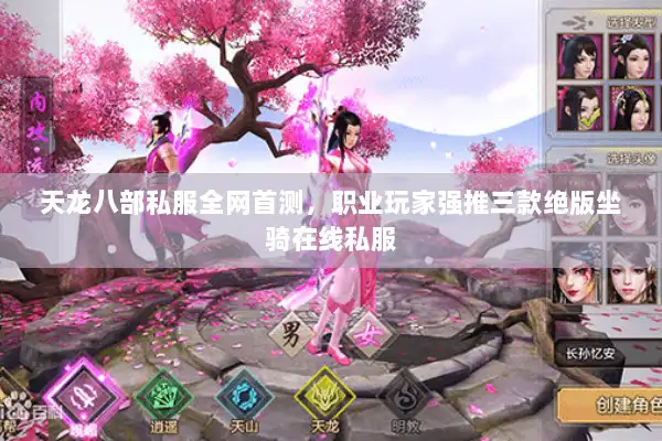 天龙八部私服全网首测，职业玩家强推三款绝版坐骑在线私服