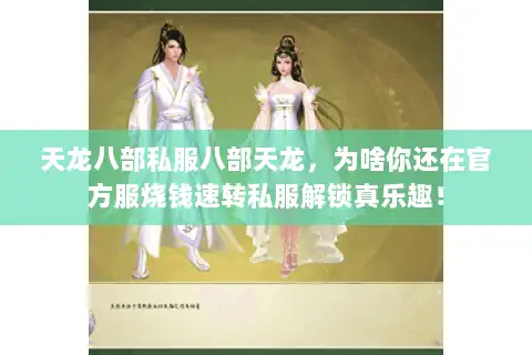 天龙八部私服八部天龙，为啥你还在官方服烧钱速转私服解锁真乐趣！