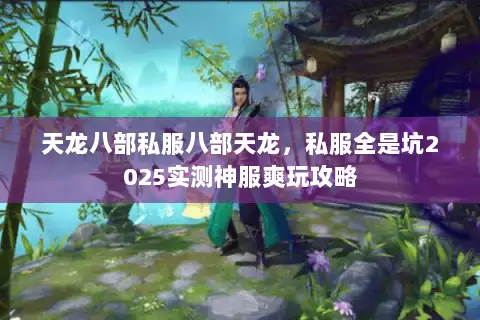 天龙八部私服八部天龙，私服全是坑2025实测神服爽玩攻略