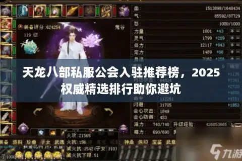 天龙八部私服公会入驻推荐榜，2025权威精选排行助你避坑