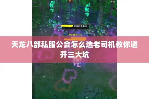 天龙八部私服公会怎么选老司机教你避开三大坑