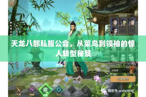 天龙八部私服公会，从菜鸟到领袖的惊人转型秘笈