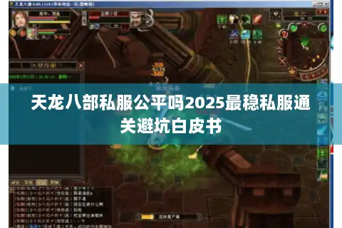 天龙八部私服公平吗2025最稳私服通关避坑白皮书