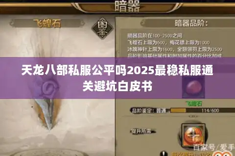 天龙八部私服公平吗2025最稳私服通关避坑白皮书