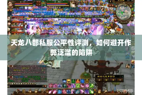 天龙八部私服公平性评测,如何避开作弊泛滥的陷阱 天龙八部私服公平性评测,如何避开作弊泛滥的陷阱