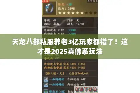 天龙八部私服养老3亿玩家都错了！这才是2025真佛系玩法