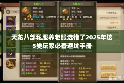 天龙八部私服养老服选错了2025年这5类玩家必看避坑手册 天龙八部私服养老服选错了2025年这5类玩家必看避坑手册