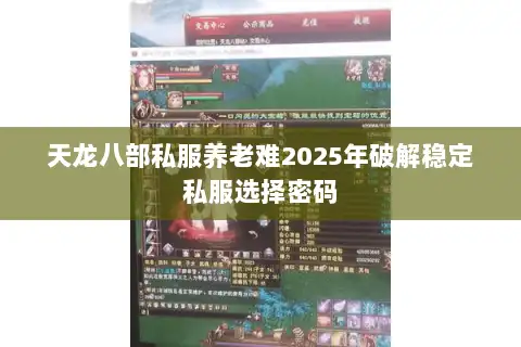 天龙八部私服养老难2025年破解稳定私服选择密码