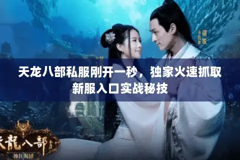 天龙八部私服刚开一秒,独家火速抓取新服入口实战秘技 天龙八部私服刚开一秒,独家火速抓取新服入口实战秘技