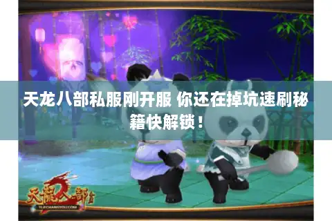 天龙八部私服刚开服 你还在掉坑速刷秘籍快解锁！
