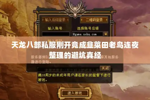 天龙八部私服刚开竟成韭菜田老鸟连夜整理的避坑真经