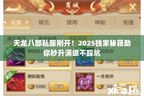 天龙八部私服刚开！2025独家秘籍助你秒升满级不踩坑