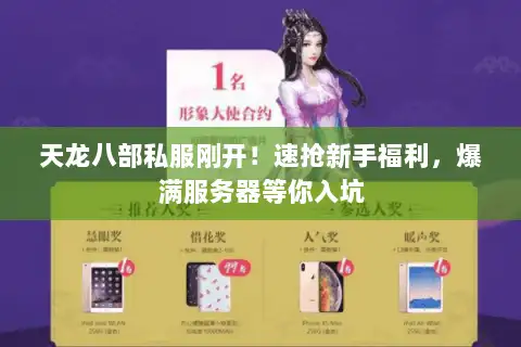 天龙八部私服刚开！速抢新手福利，爆满服务器等你入坑