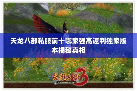 天龙八部私服前十哪家强高返利独家版本揭秘真相