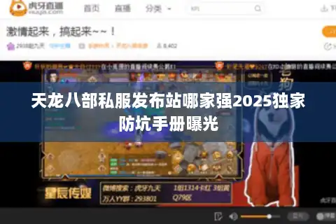 天龙八部私服发布站哪家强2025独家防坑手册曝光
