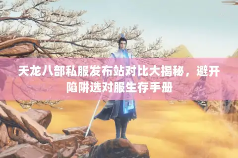天龙八部私服发布站对比大揭秘，避开陷阱选对服生存手册