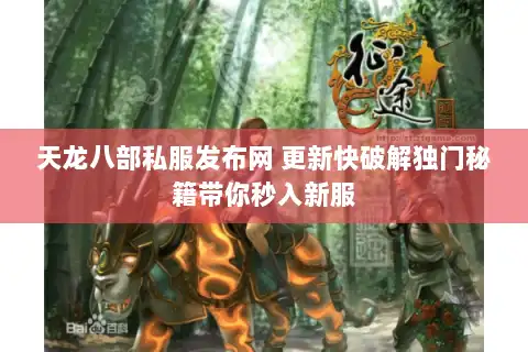天龙八部私服发布网 更新快破解独门秘籍带你秒入新服