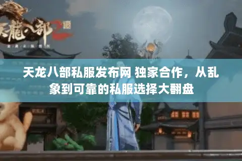 天龙八部私服发布网 独家合作，从乱象到可靠的私服选择大翻盘