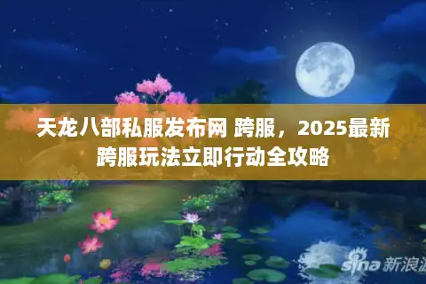 天龙八部私服发布网 跨服，2025最新跨服玩法立即行动全攻略