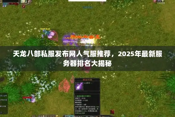天龙八部私服发布网人气服推荐，2025年最新服务器排名大揭秘