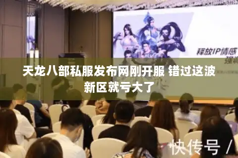 天龙八部私服发布网刚开服 错过这波新区就亏大了