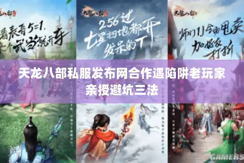 天龙八部私服发布网合作遇陷阱老玩家亲授避坑三法